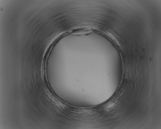 X0000062651076200601111145