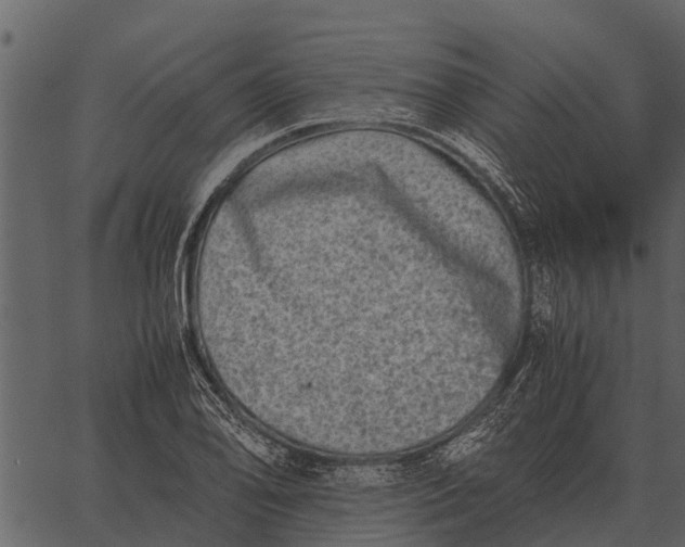 X0000062651078200601111145