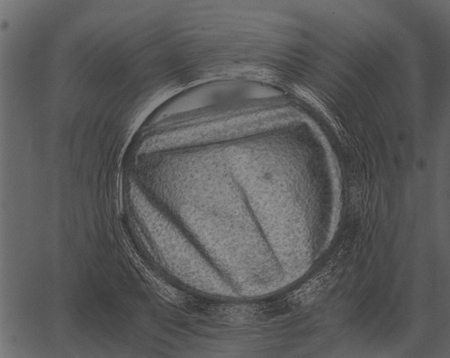 X0000062651079200601111145