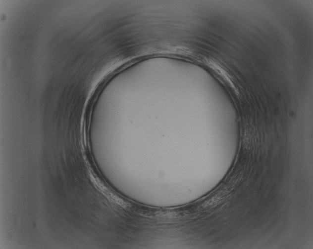 X0000062651080200601111145