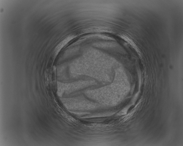 X0000062651081200601111145