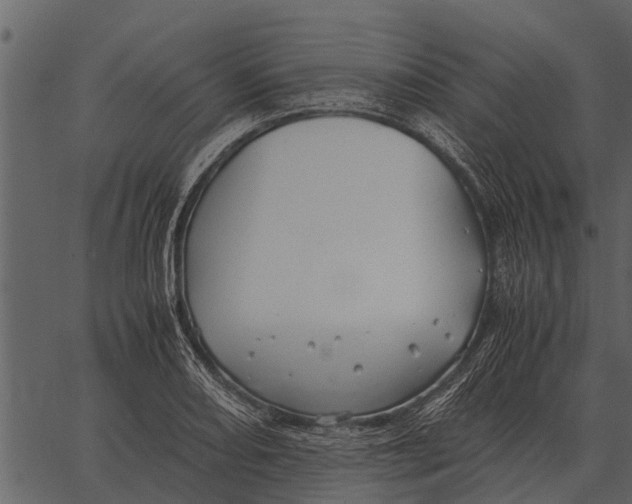 X0000062651082200601111145