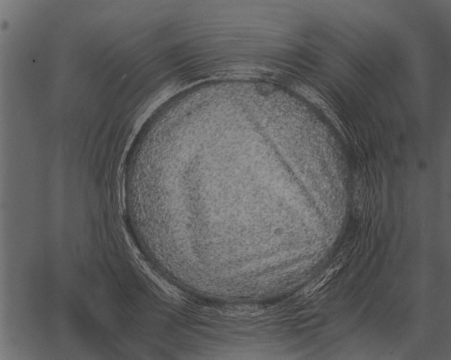 X0000062651083200601111145