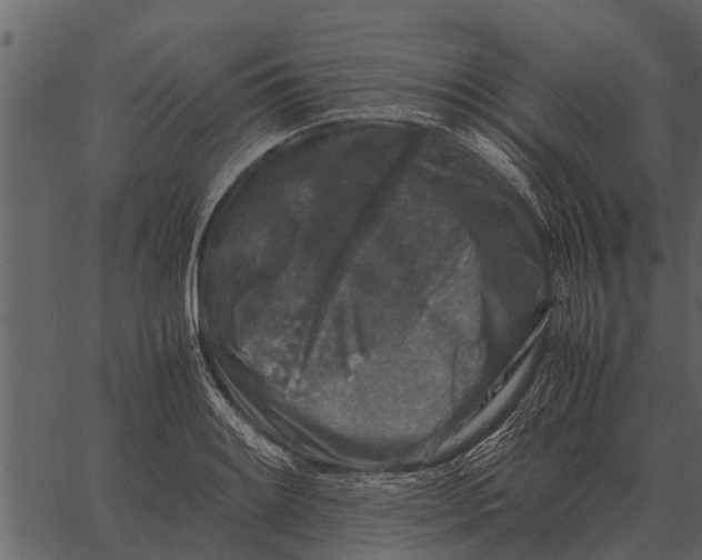 X0000062651084200601111145