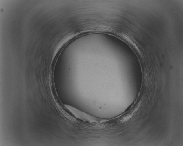 X0000062651085200601111145