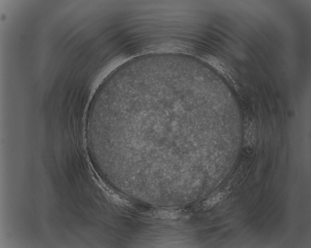 X0000062651086200601111145