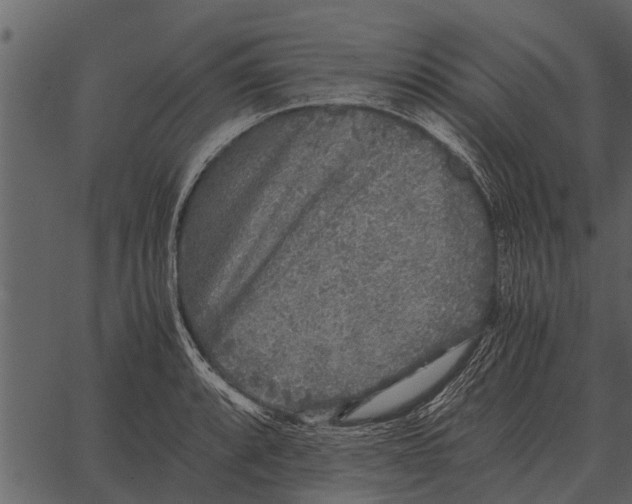 X0000062651088200601111145