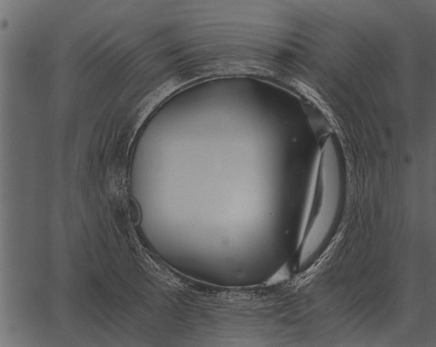 X0000062651089200601111145