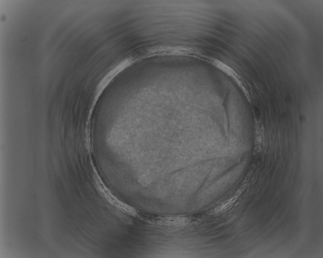 X0000062651090200601111145