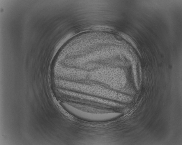 X0000062651091200601111145