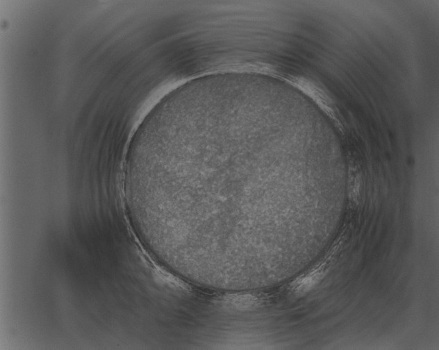 X0000062651094200601111145