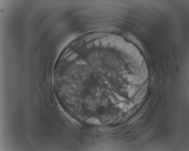 X0000062651095200601111145