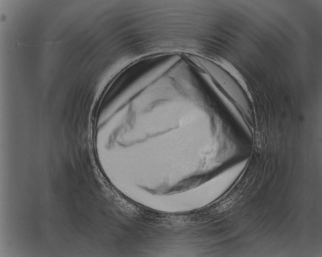 X0000062651096200601111145