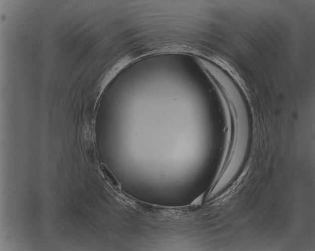 X0000062651097200601111145