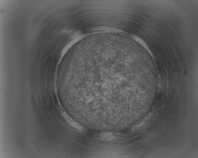 X0000062651098200601111145