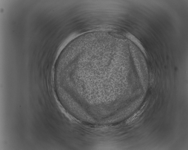 X0000062651099200601111145