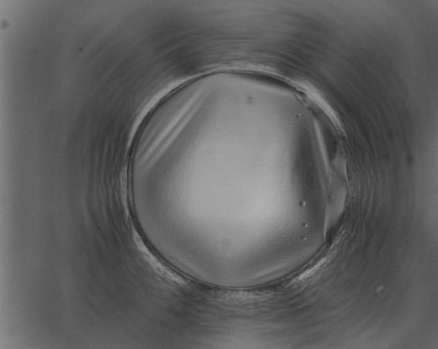 X0000062651100200601111145