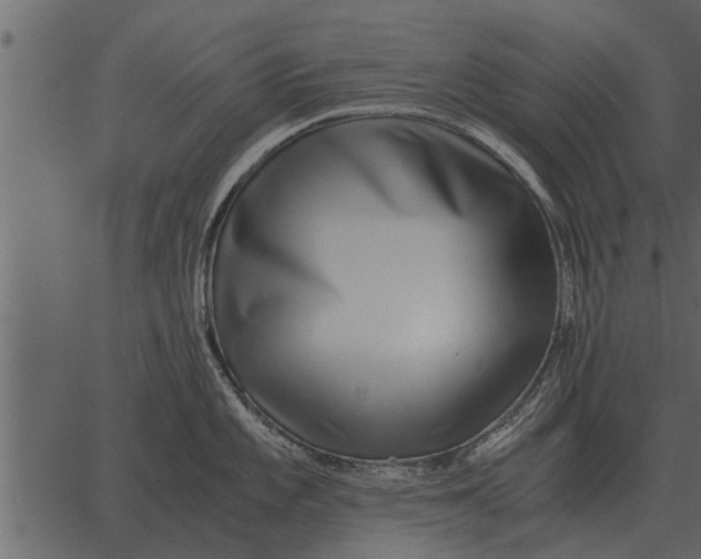 X0000062651101200601111145