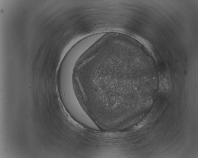 X0000062651102200601111145