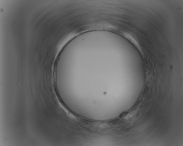 X0000062651103200601111145