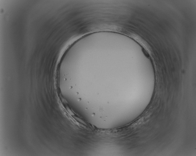 X0000062651104200601111145