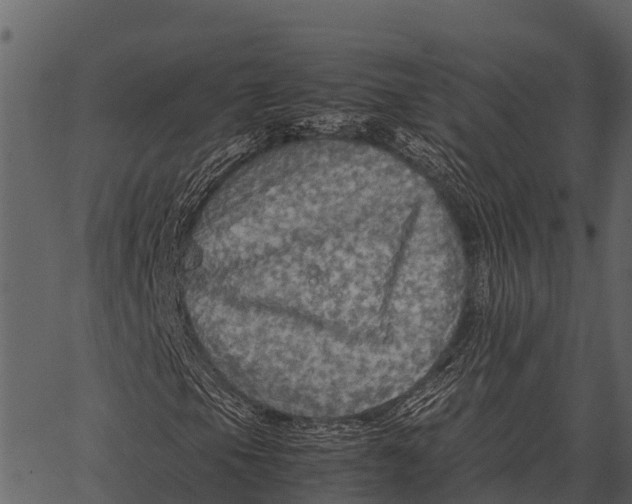 X0000062651105200601111144