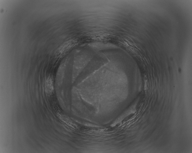 X0000062651106200601111144