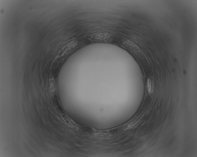 X0000062651107200601111144