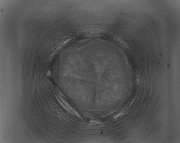 X0000062651108200601111144