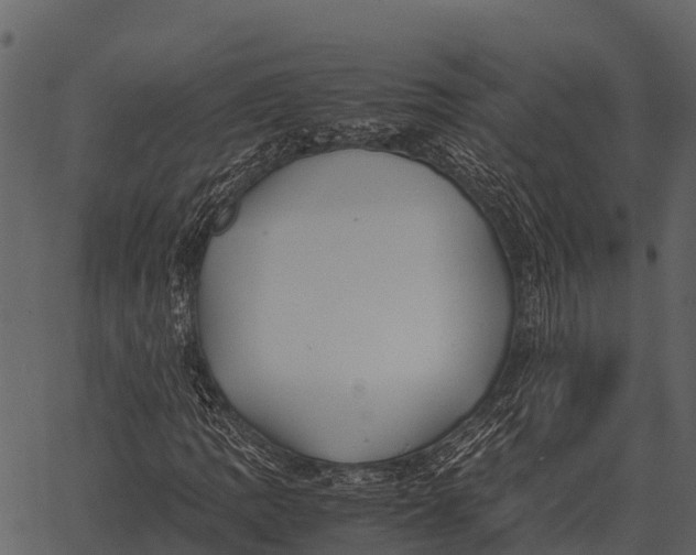 X0000062651109200601111144