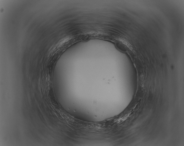 X0000062651111200601111144