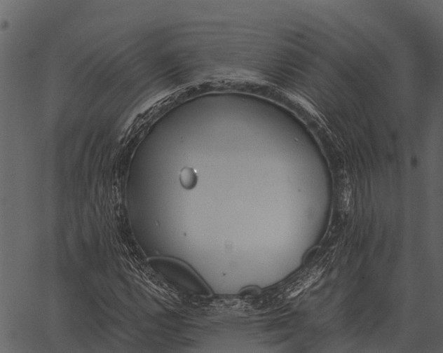 X0000062651112200601111144