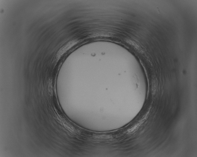 X0000062651113200601111144