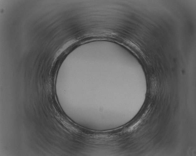 X0000062651114200601111144