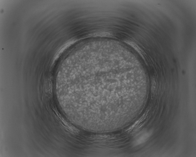 X0000062651115200601111144