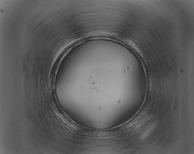 X0000062651116200601111144