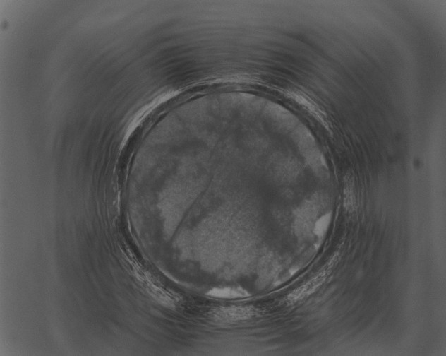 X0000062651117200601111144