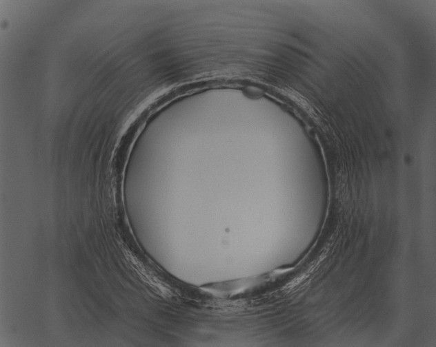 X0000062651118200601111144