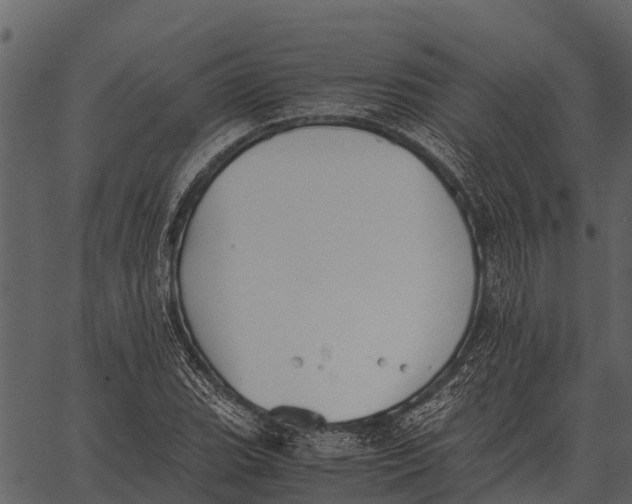 X0000062651119200601111144