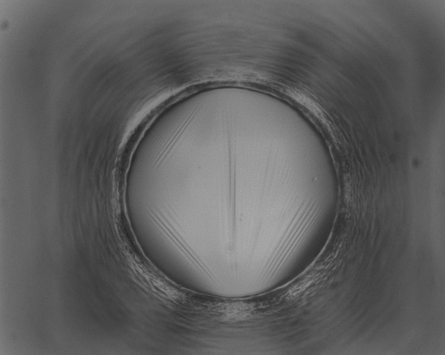 X0000062651120200601111144