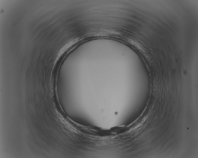 X0000062651122200601111144