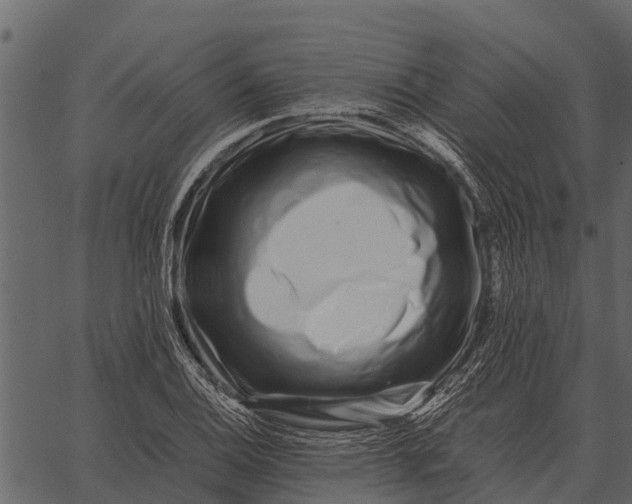 X0000062651124200601111145