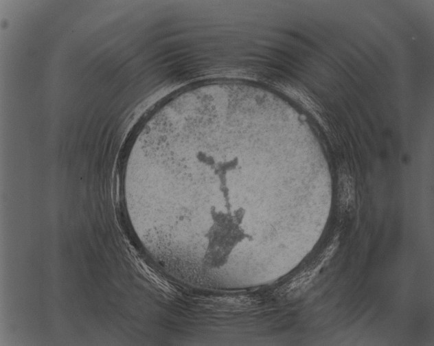 X0000062651125200601111145