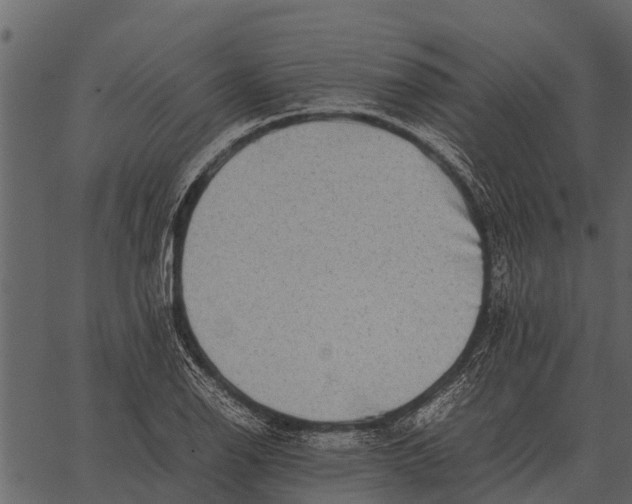 X0000062651126200601111145