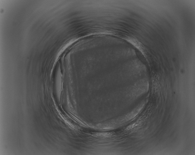 X0000062651127200601111145