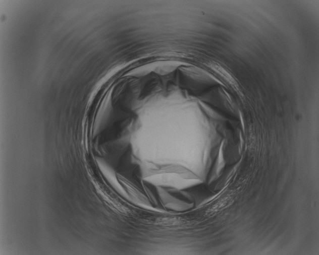 X0000062651128200601111145