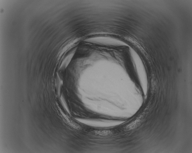 X0000062651129200601111145