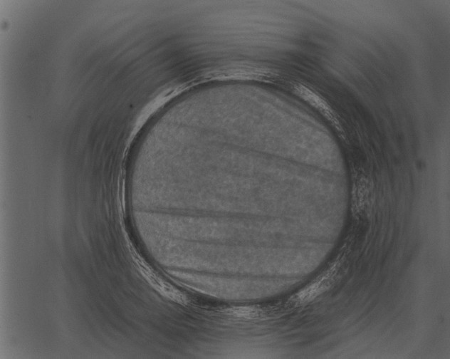 X0000062651130200601111145