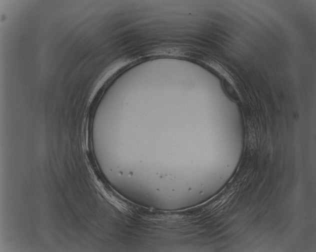 X0000062651131200601111145