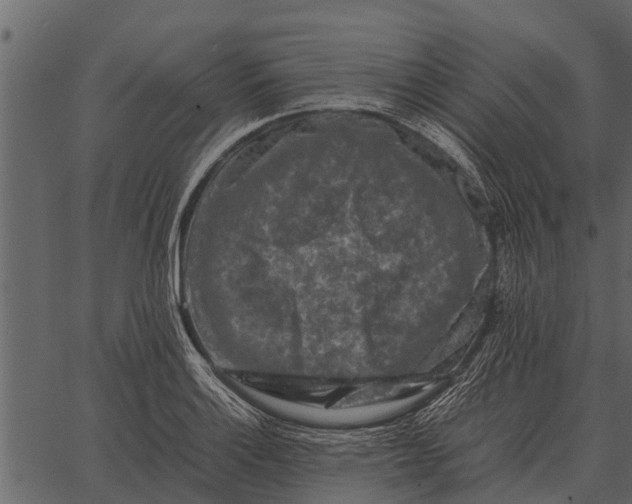 X0000062651132200601111145